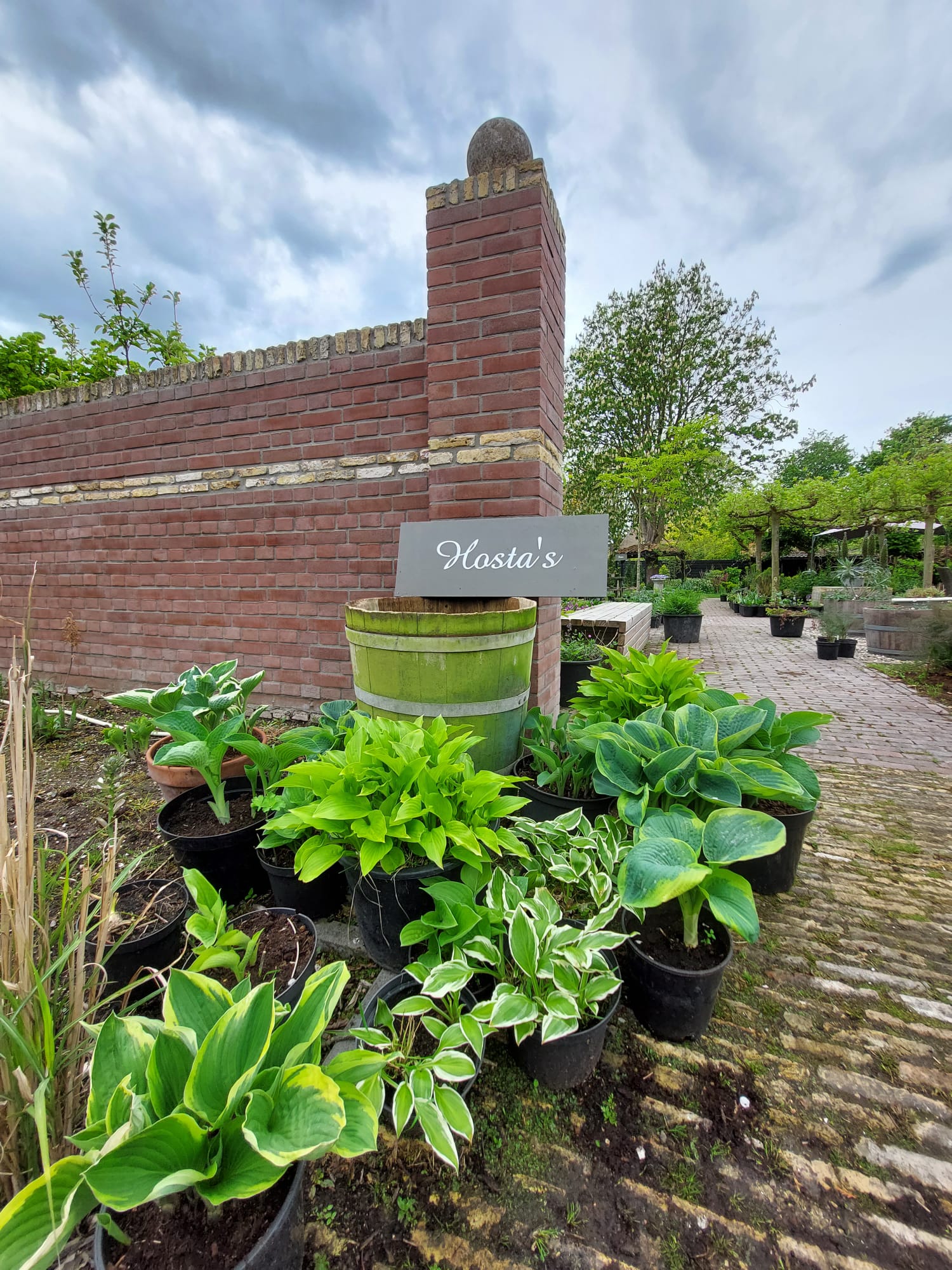 {{brizy_dc_image_alt imageSrc=