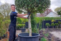 {{brizy_dc_image_alt imageSrc=