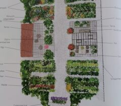 {{brizy_dc_image_alt imageSrc=