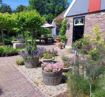 {{brizy_dc_image_alt imageSrc=