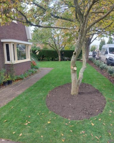 {{brizy_dc_image_alt imageSrc=