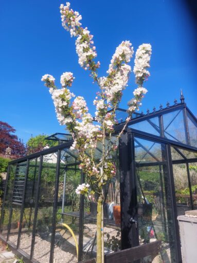 {{brizy_dc_image_alt imageSrc=