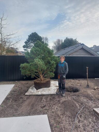 {{brizy_dc_image_alt imageSrc=