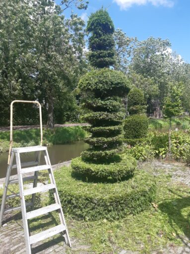 {{brizy_dc_image_alt imageSrc=