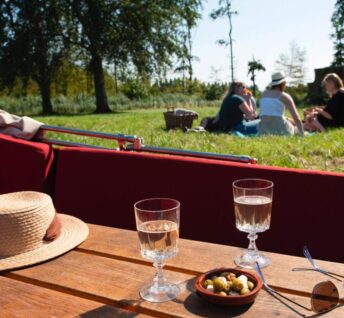 {{brizy_dc_image_alt imageSrc=